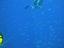 DSC00577.JPG