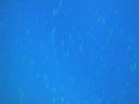DSC00578.JPG