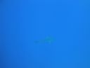 DSC00593.JPG