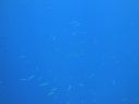 DSC00594.JPG