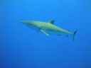 DSC00595.JPG