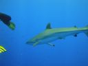 DSC00596.JPG