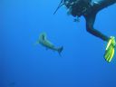 DSC00597.JPG