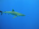 DSC00598.JPG