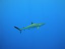 DSC00599.JPG
