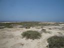 DSC00610.JPG