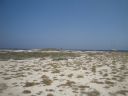DSC00615.JPG