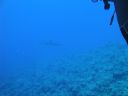 DSC00646.JPG