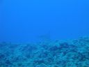 DSC00647.JPG