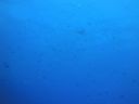 DSC00650.JPG