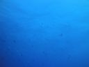 DSC00651.JPG