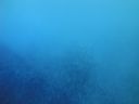 DSC00662.JPG