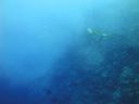 DSC00663.JPG