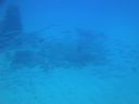 DSC00667.JPG