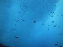DSC00670.JPG