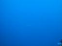 DSC00706.JPG