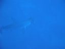 DSC00712.JPG