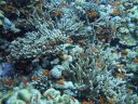 DSC00719.JPG