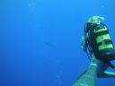 DSC00722.JPG
