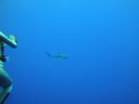 DSC00723.JPG