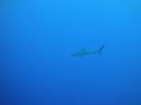 DSC00724.JPG