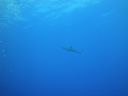 DSC00725.JPG