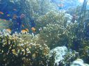 DSC00727.JPG