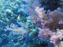 DSC00729.JPG