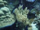 DSC00734.JPG
