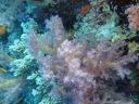 DSC00735.JPG