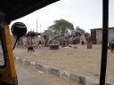 DSC00766.JPG