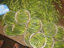 DSC00772.JPG