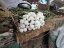 DSC00773.JPG
