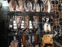 DSC00777.JPG