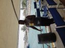 DSC00784.JPG