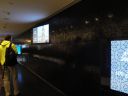 DSC00822.JPG