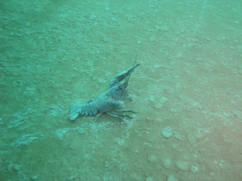 DSC00001~1.JPG