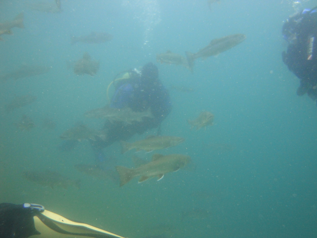 DSC00001~6.JPG