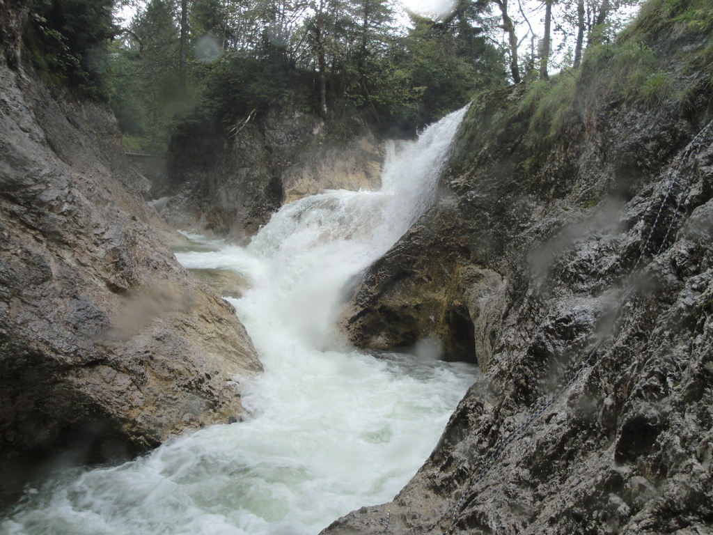 DSC00005~4.JPG