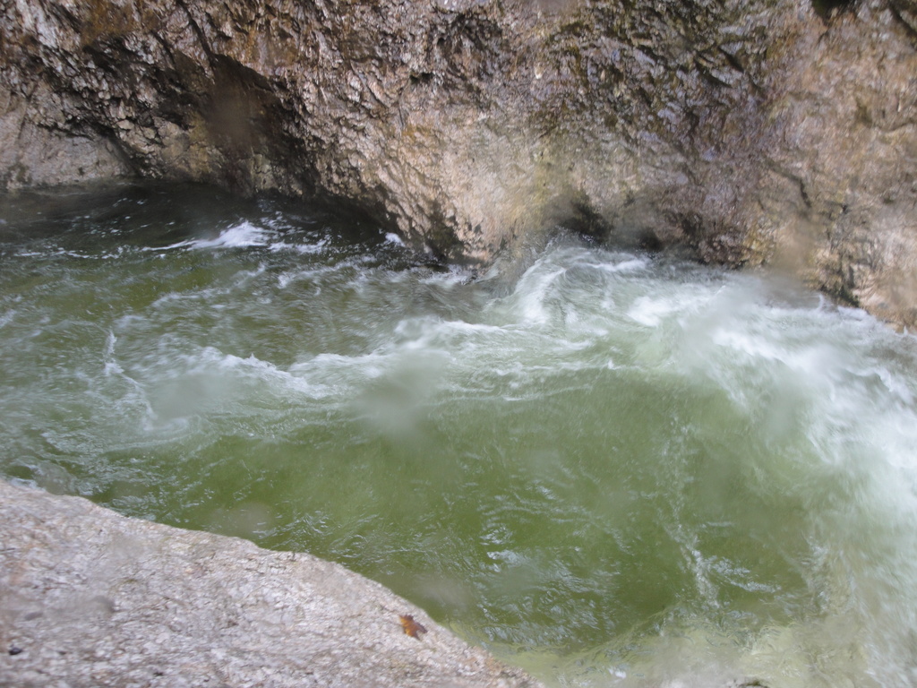 DSC00007~4.JPG