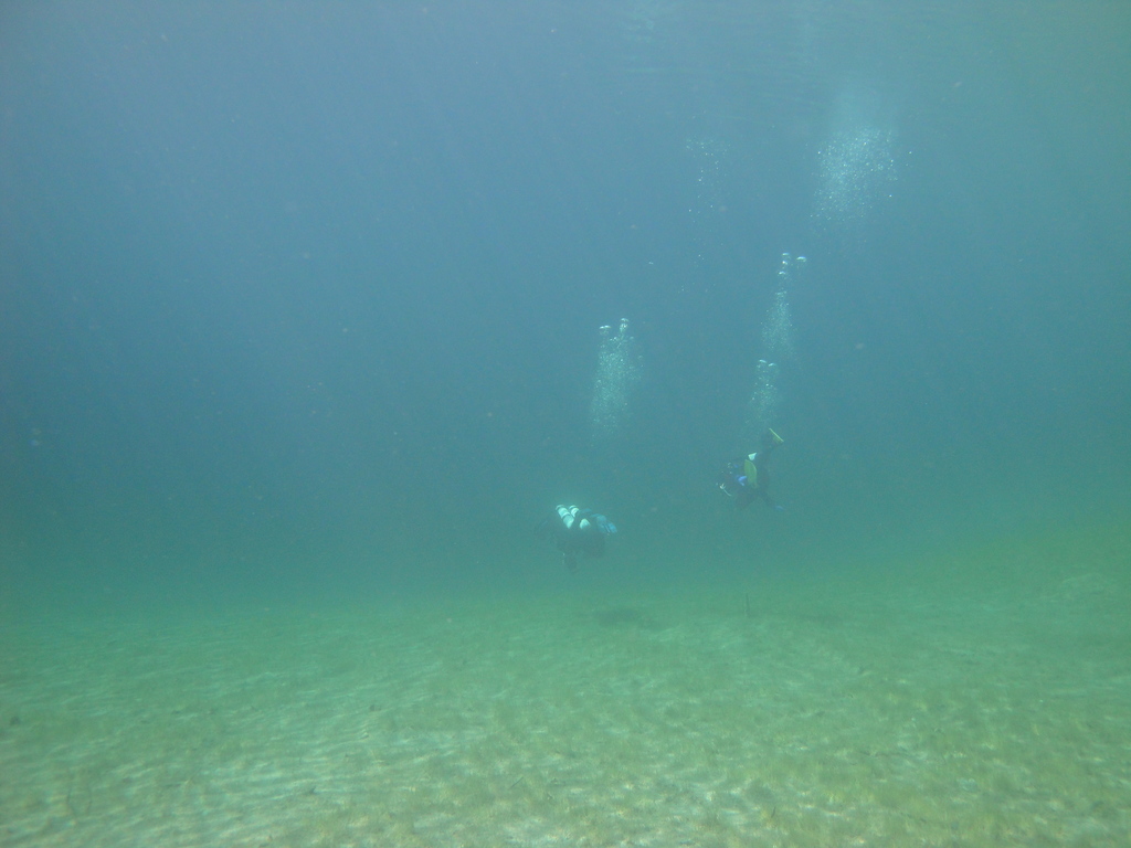 DSC00018~4.JPG