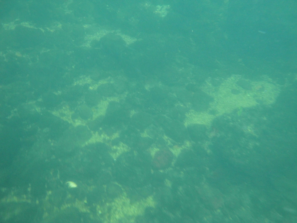 DSC00018~5.JPG