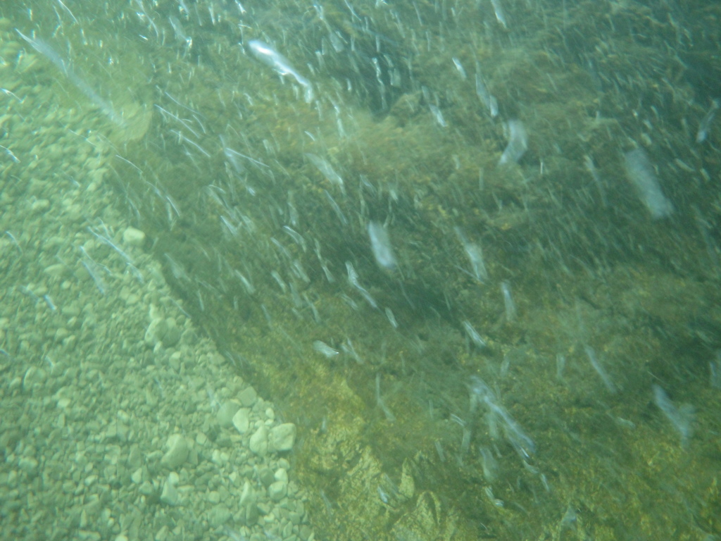 DSC00020~2.JPG