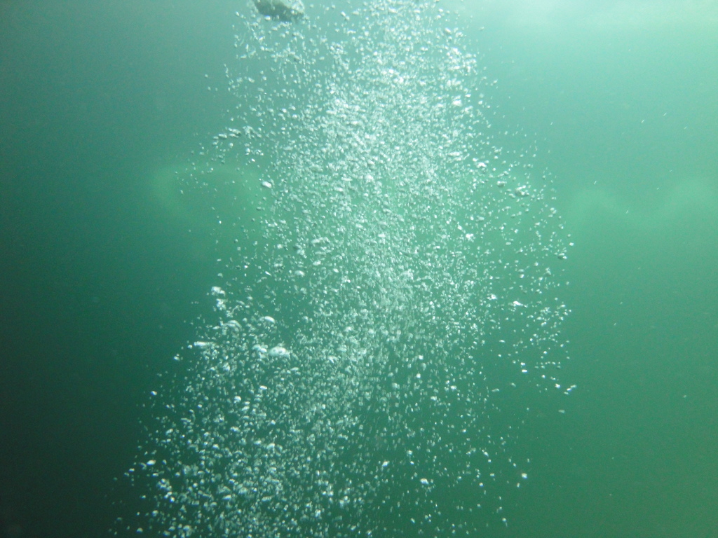 DSC00021~8.JPG
