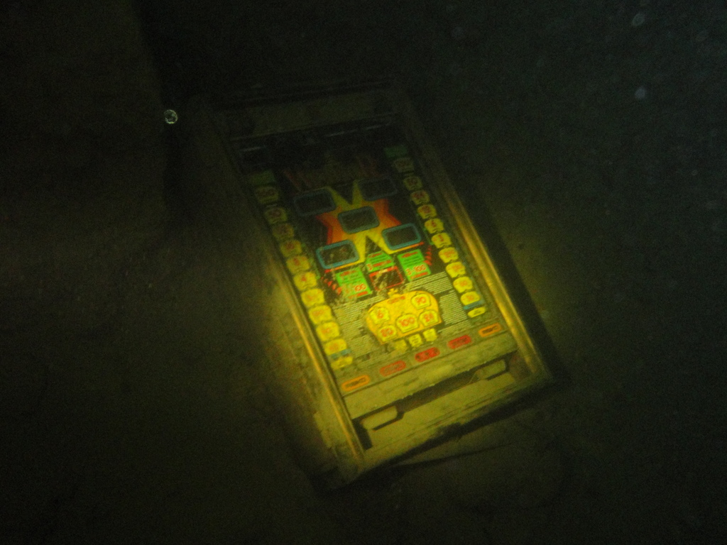 DSC00022~1.JPG