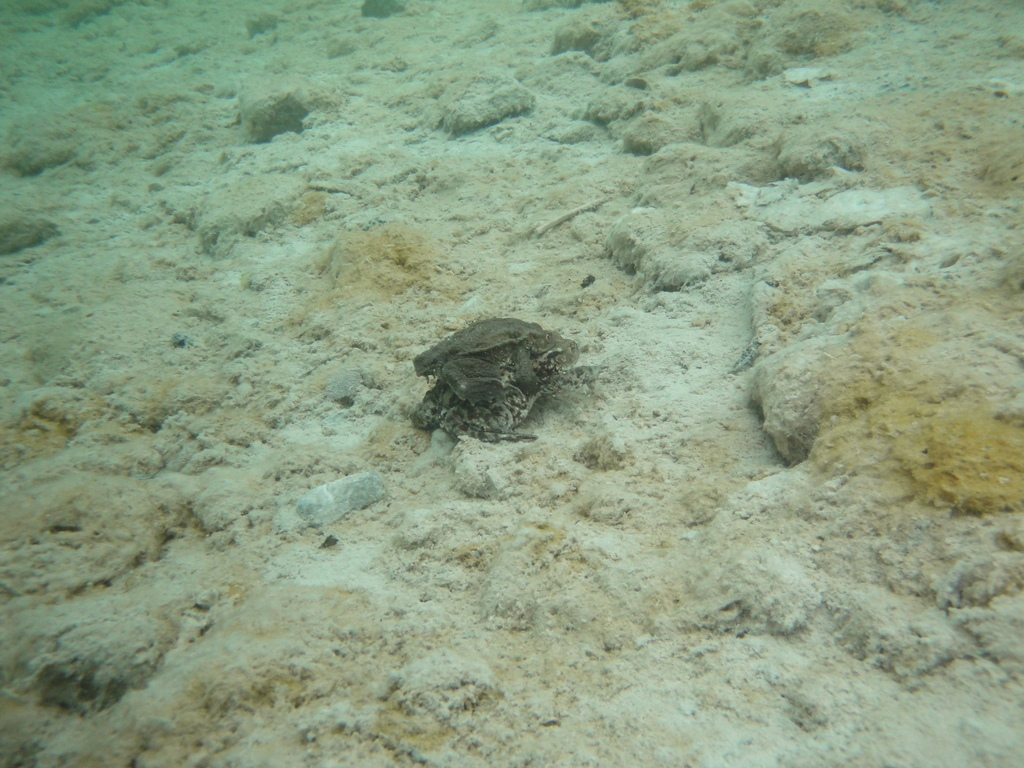 DSC00026~4.JPG