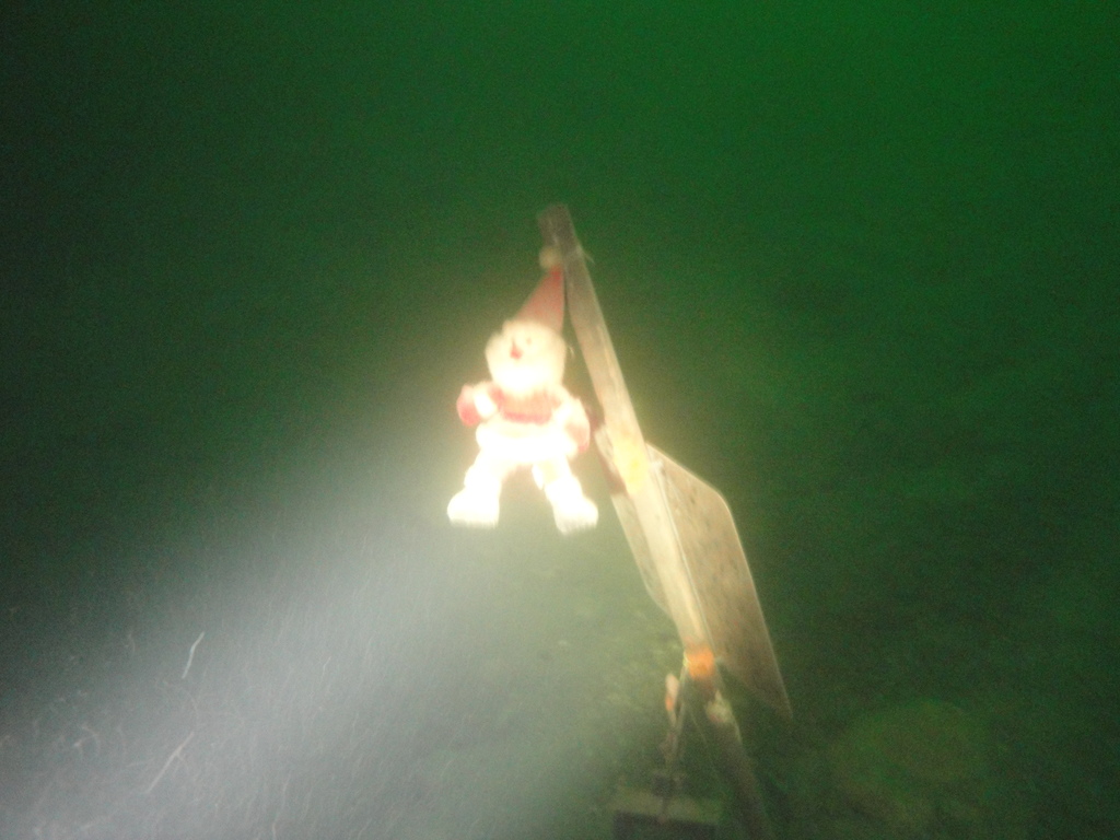 DSC00027~1.JPG