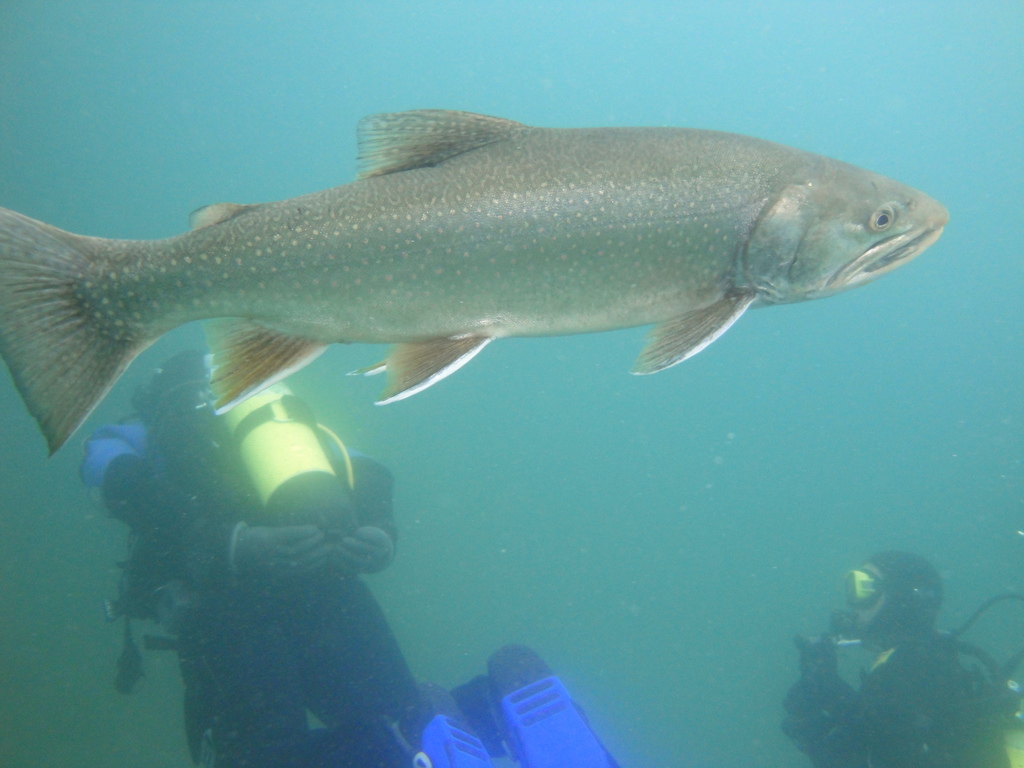 DSC00028~3.JPG