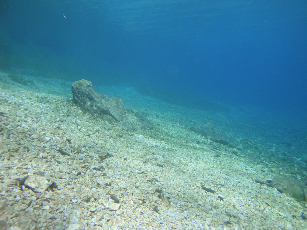 DSC00038~3.JPG
