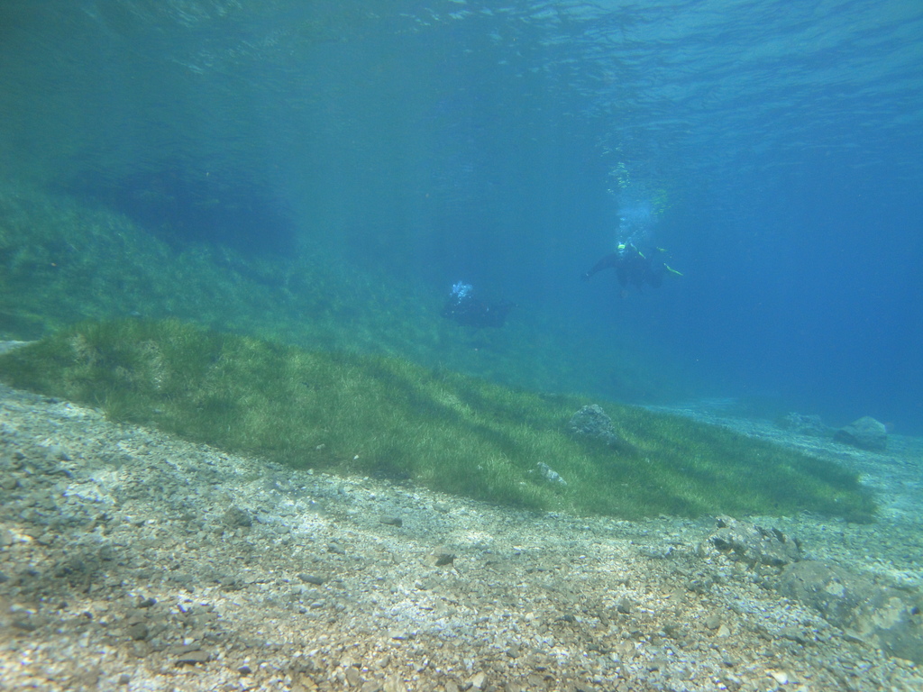 DSC00039~3.JPG